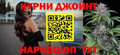 сатива Шахты