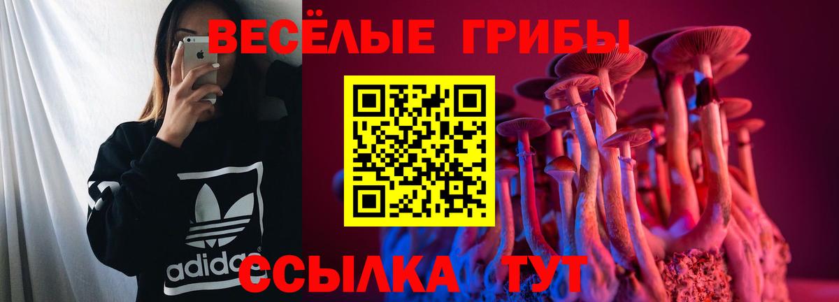 Псилоцибиновые грибы мухоморы  Галлюциногенные грибы GOLDEN TEACHER  Вход с VPN  Кумертау 